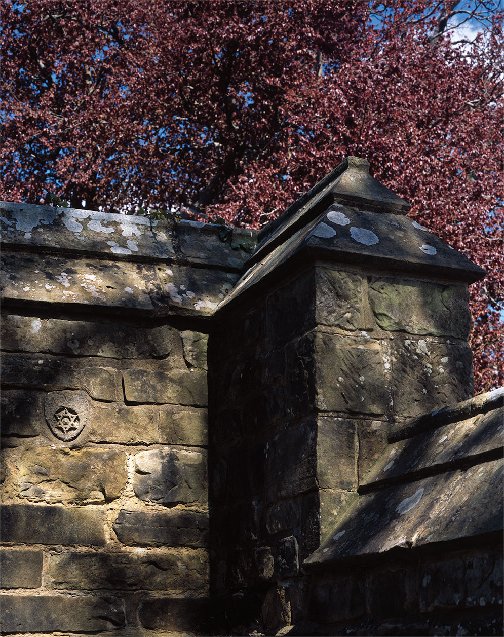 A squint-and-you-may-see-it six-pointed star on a wall at Nymans, in West Sussex. Photograph by Heléne Binet
