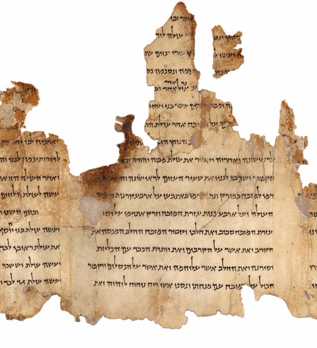 Fragment of the Dead Sea Scrolls. The script is Aramaic ‘square’ style which is the same writing system one would recognize as written Hebrew today. Photograph by Alamy